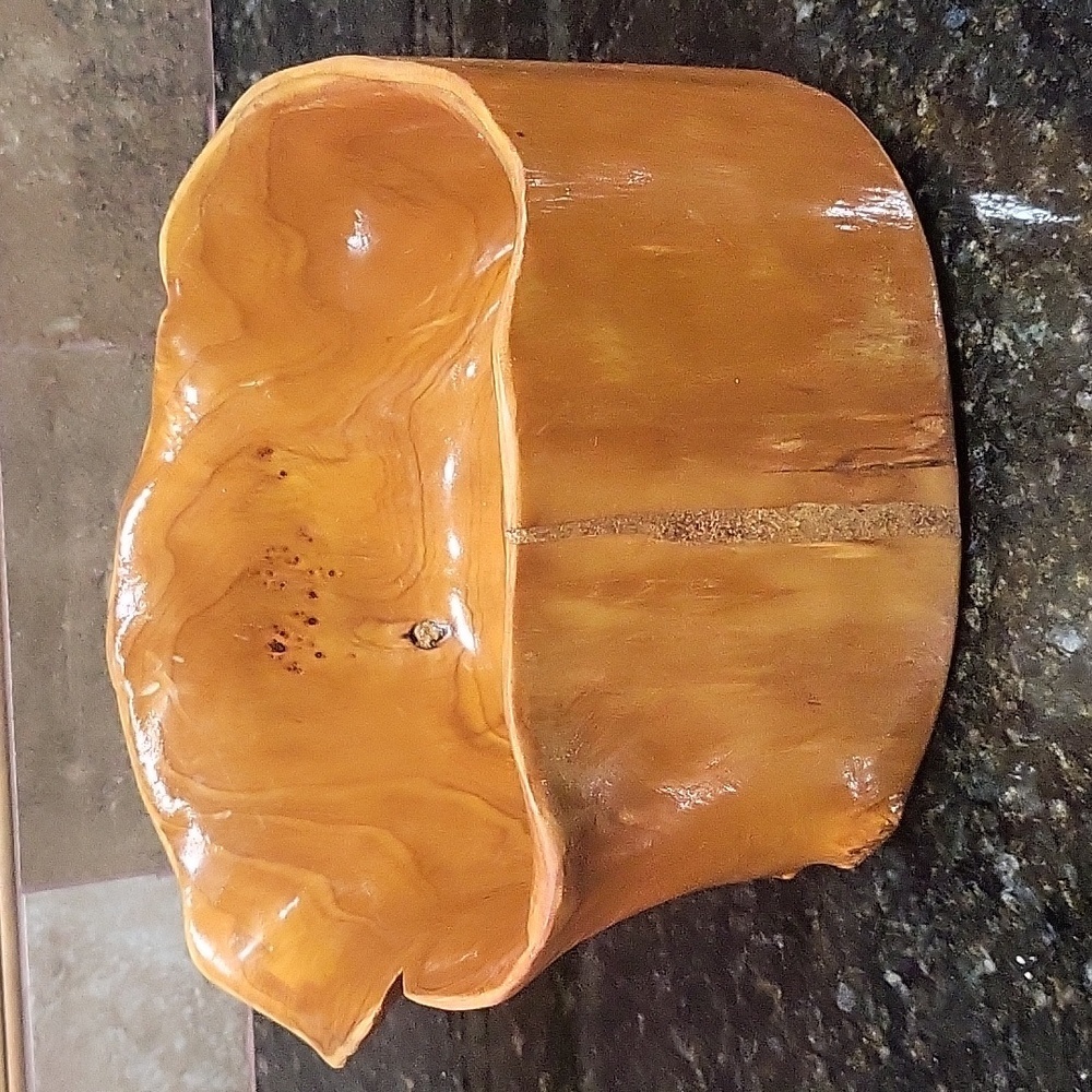 Large Hollow Carved Wood Stump Catchall Bowl Bin 9.5" Wide 5.5" Tall Burl Wood